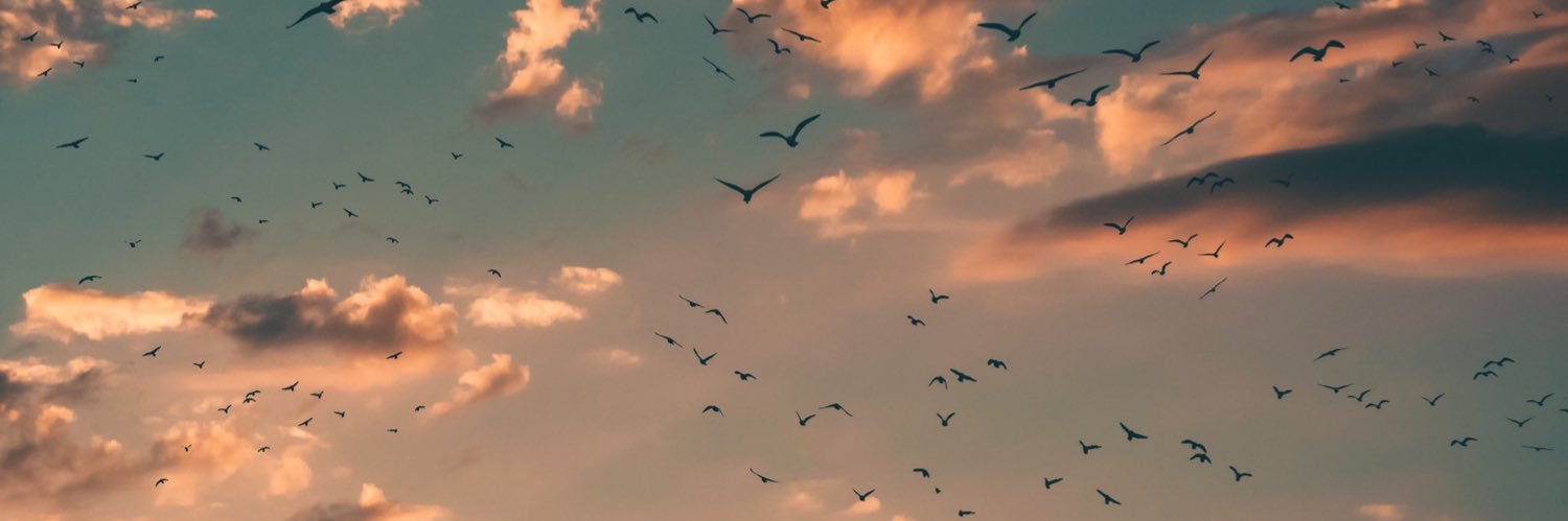 ilknurkircaa's profile banner image