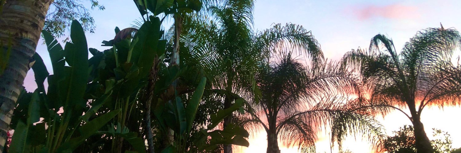 Chantel Runnels banner