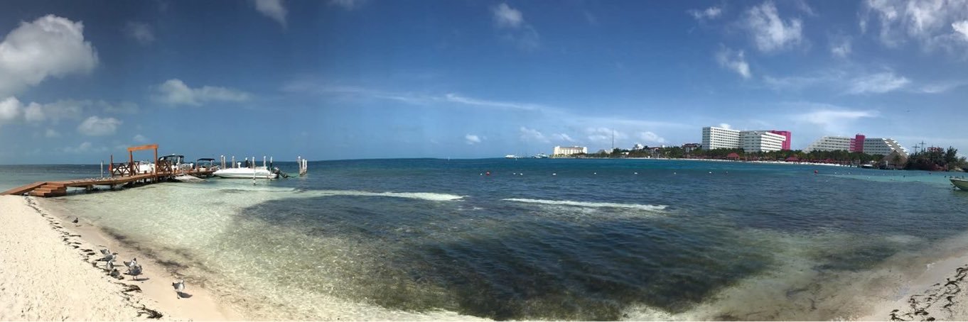 Steven Pothier banner