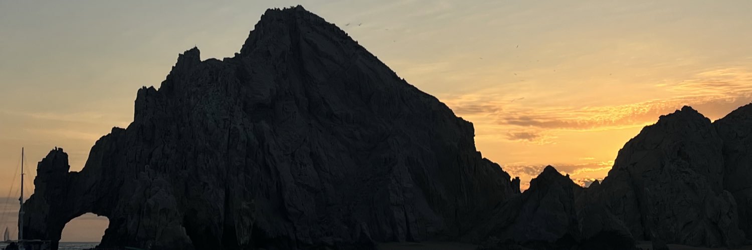 vanegasperin's profile banner image