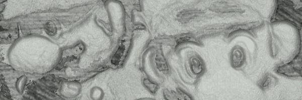 alfredosv17's profile banner image