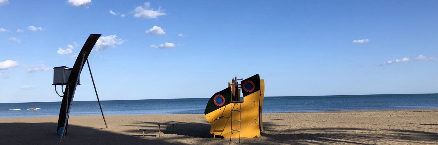 Carmen Gallego banner