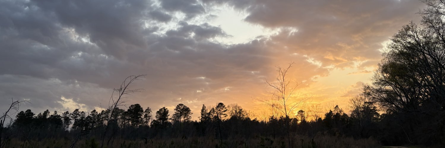KeriCrenshaw's profile banner image