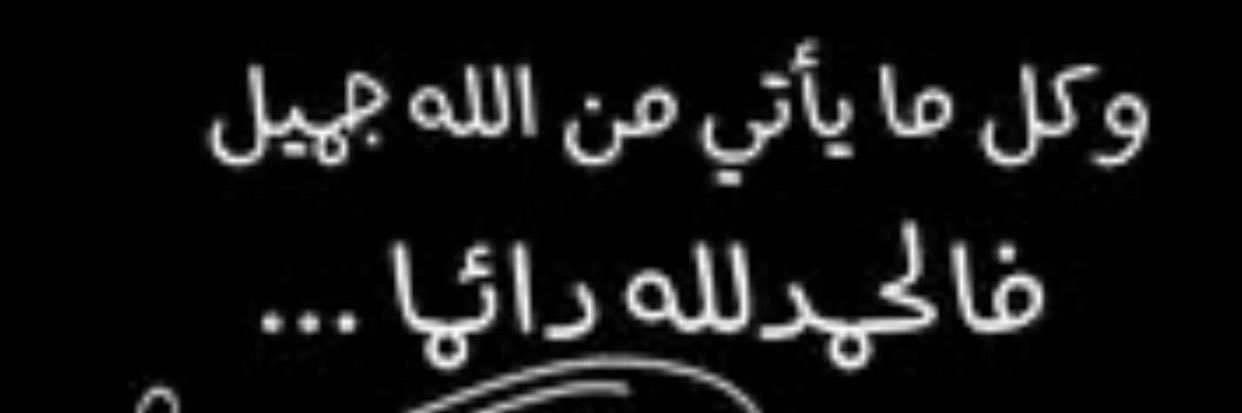 alisaeed63's profile banner image