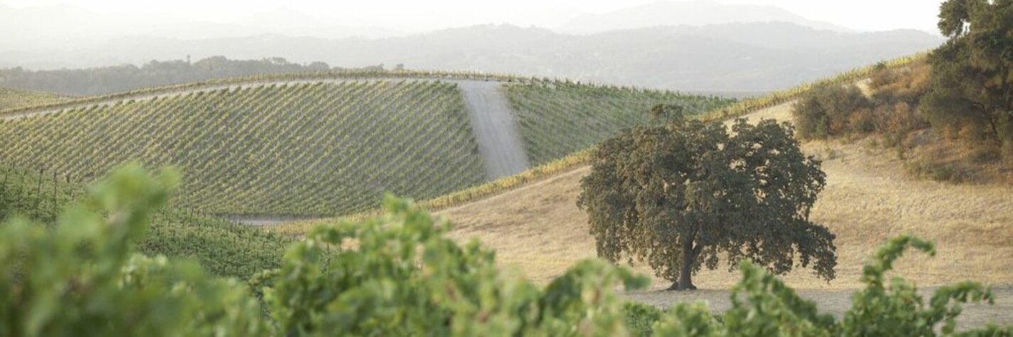 BookerVineyard's profile banner image