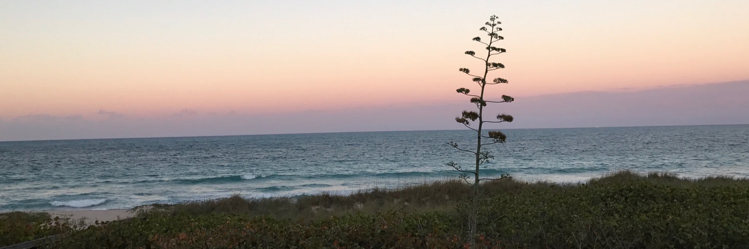 MagsMiami's profile banner image