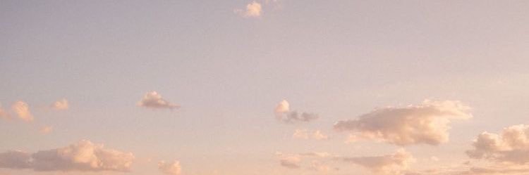 jess_whiley's profile banner image