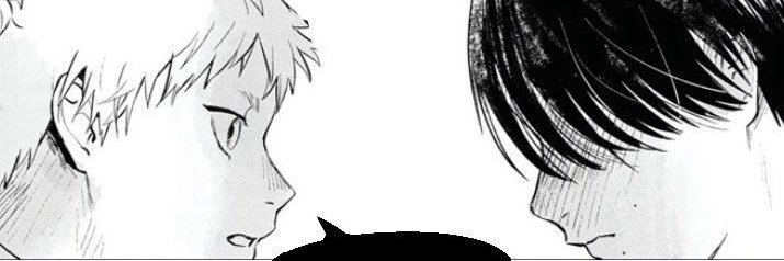 Laurita banner