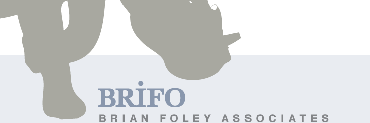 BrianFoleyAssoc's profile banner image