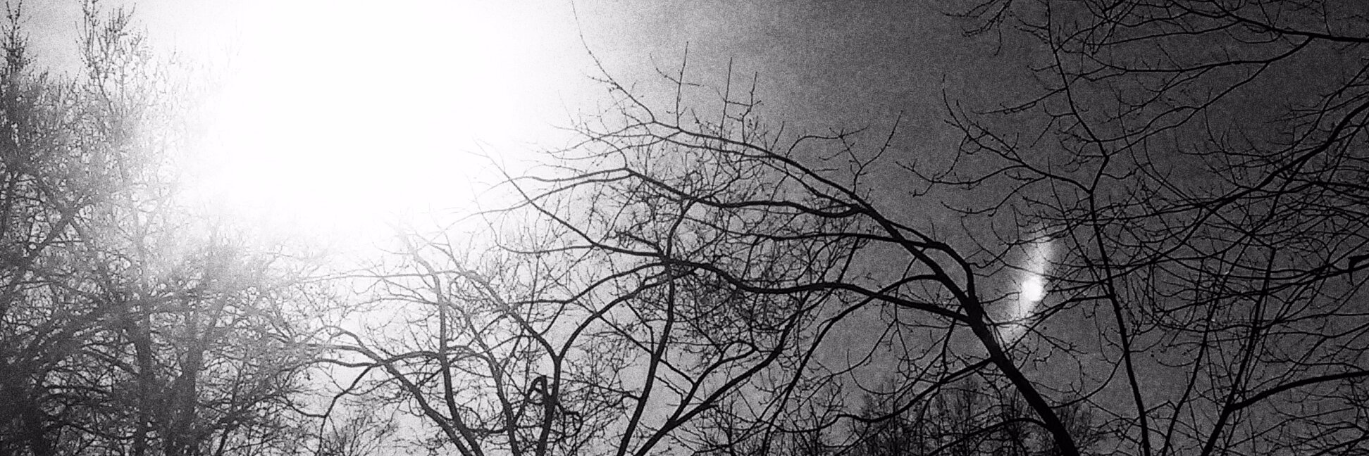 TalleyAesthetic's profile banner image