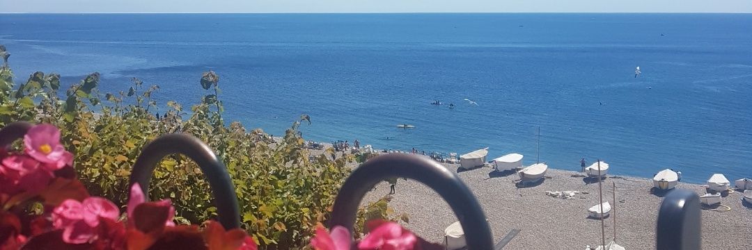 Bi11ie's profile banner image