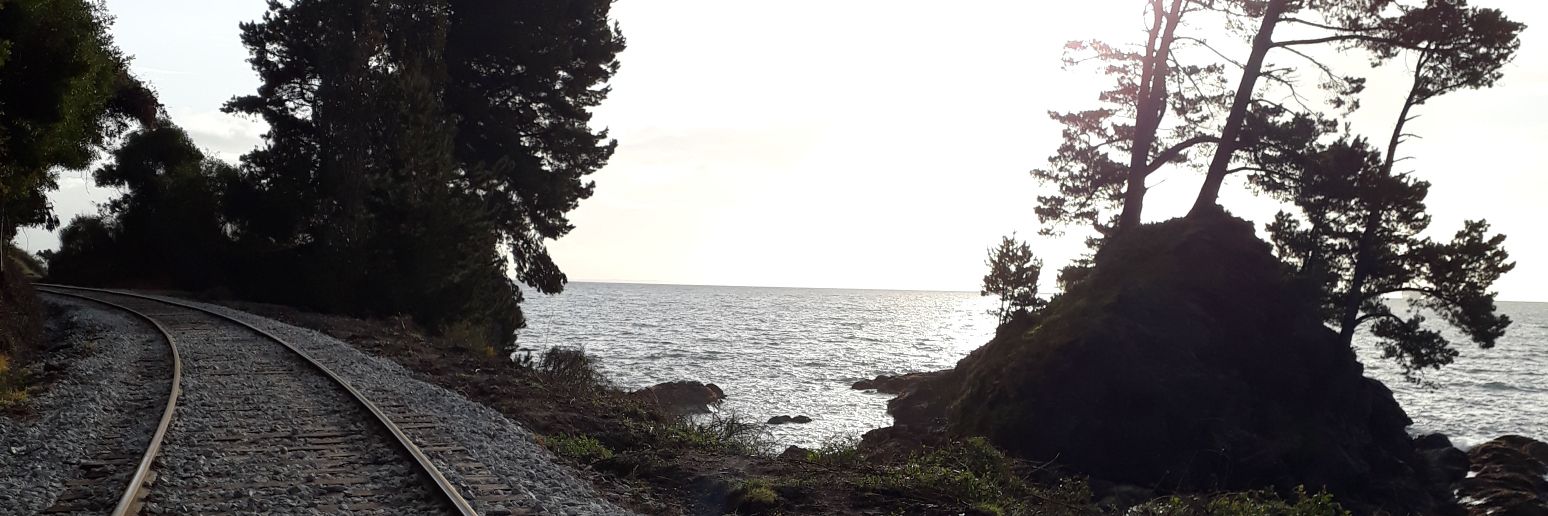 Elizabeeth_IM's profile banner image