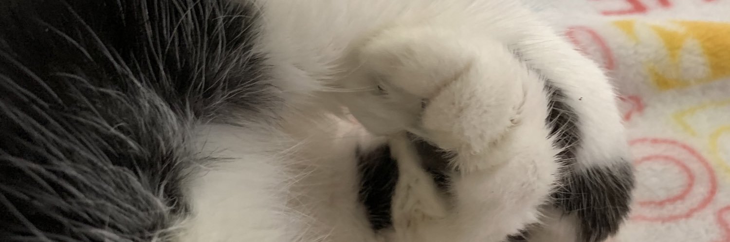 AprilSchiff1's profile banner image