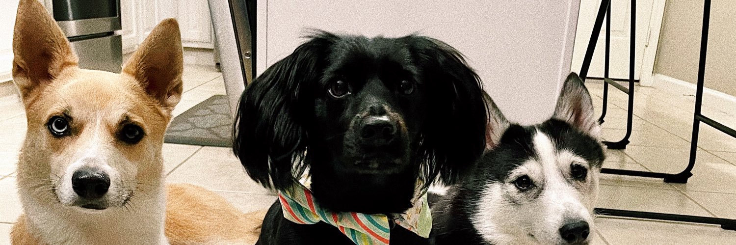melanieeandreaa's profile banner image