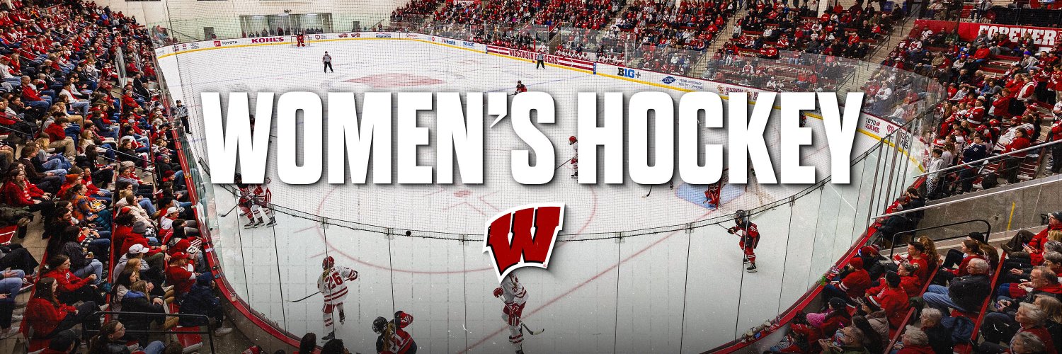 Wisconsin Hockey's banner