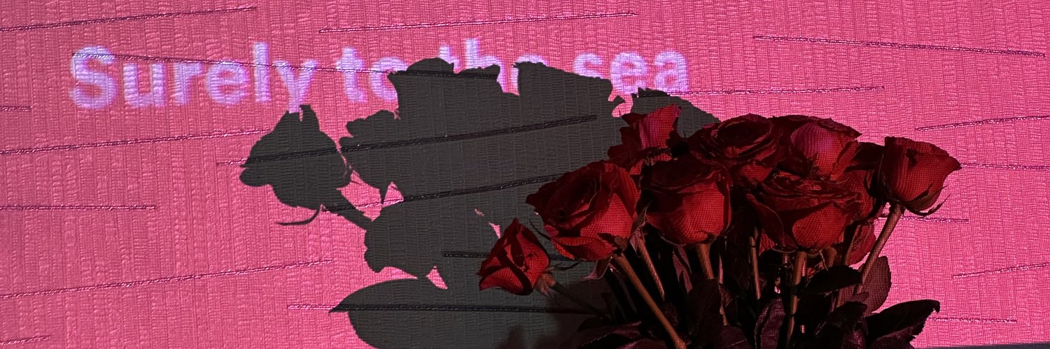 palomacsc's profile banner image