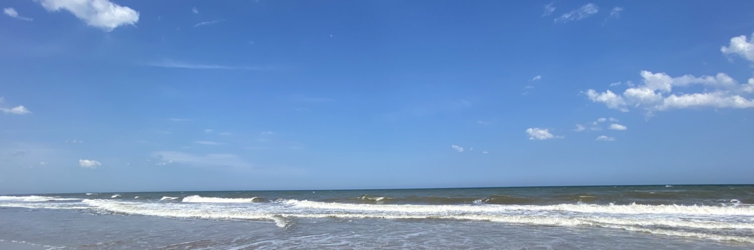 PondBrooke's profile banner image