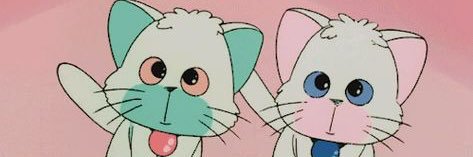 きぃたん🍥 banner