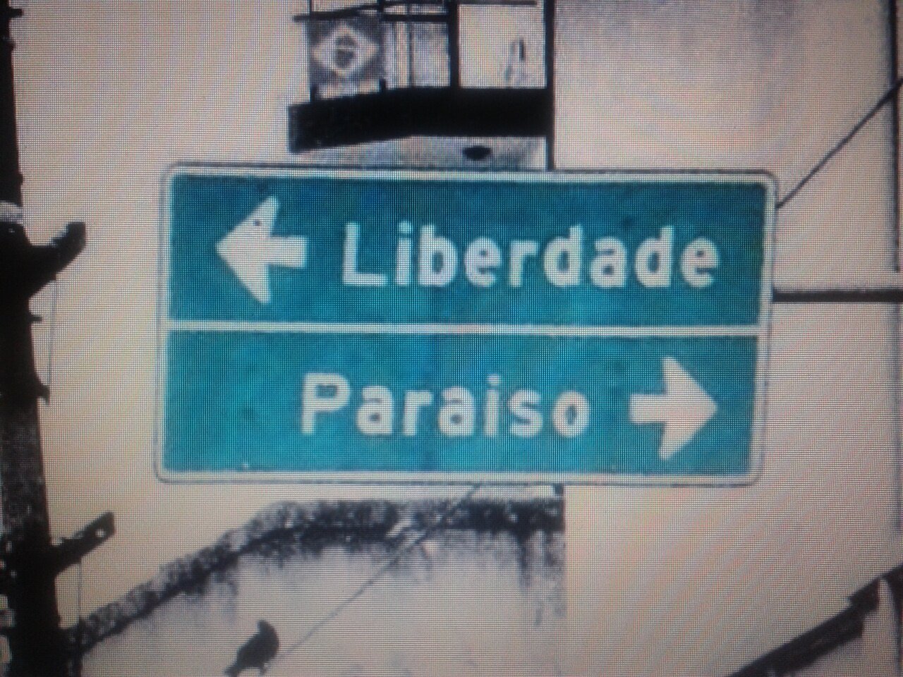fernandes_renan's profile banner image
