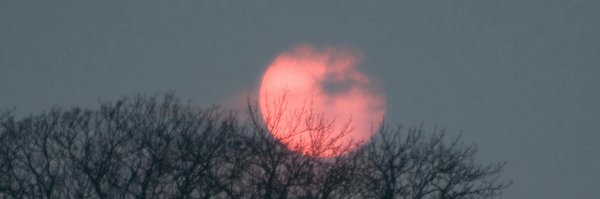 codespoti Profile Banner