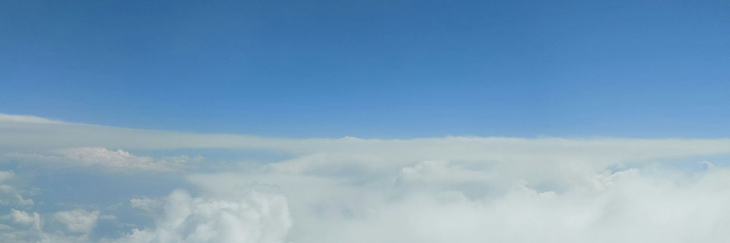 fernandapein's profile banner image