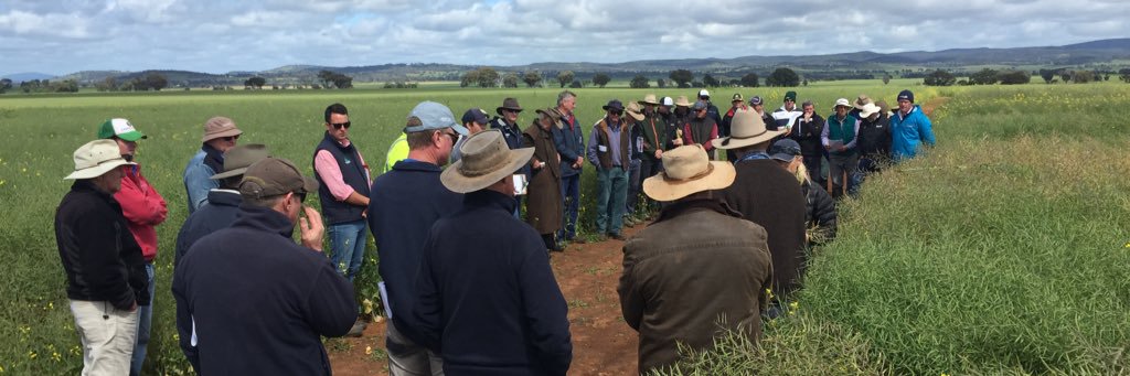 Colin McMaster banner
