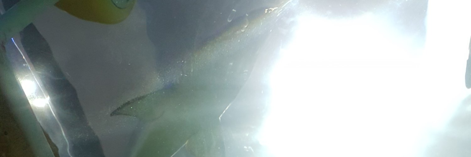 cmbrown88's profile banner image