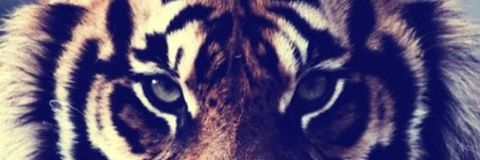 Fabii_EM's profile banner image