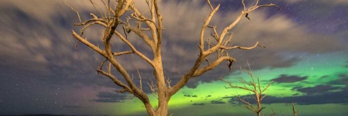 JuliaSuriel's profile banner image