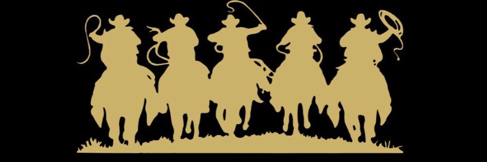 sothpaw13's profile banner image
