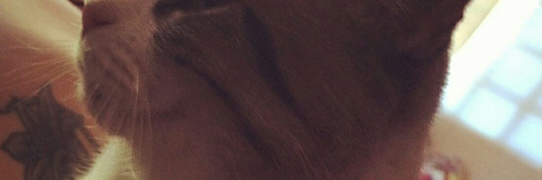 Ady Rosas 💚 banner