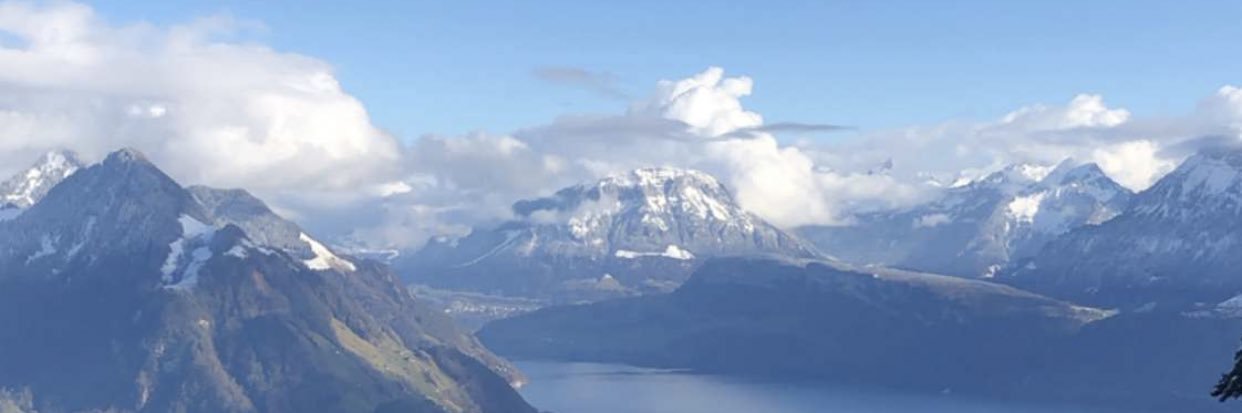 owaisgaffas's profile banner image