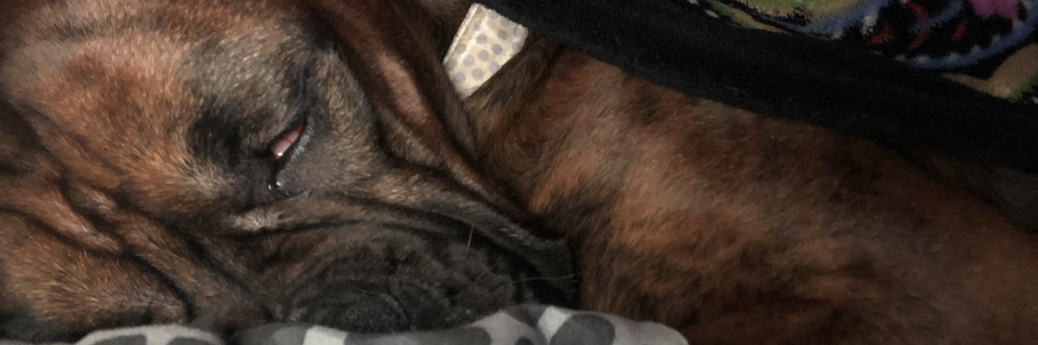 MalloreeB's profile banner image