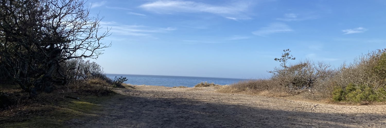 Camille Bas Wohlert banner