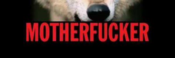 shepltfc Profile Banner