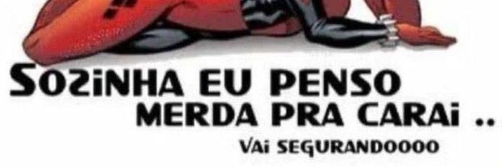 ana banner