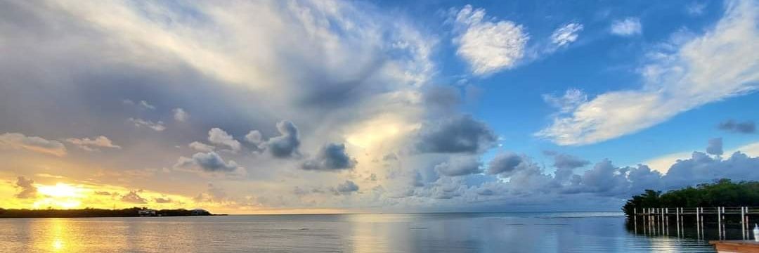 KCPowercat 🌾🌾🌾 banner