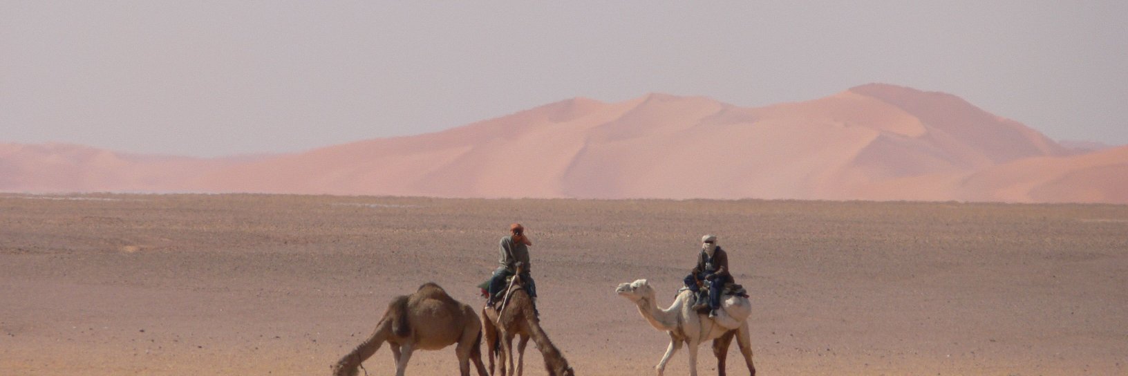 Dariusz Matelowsk banner