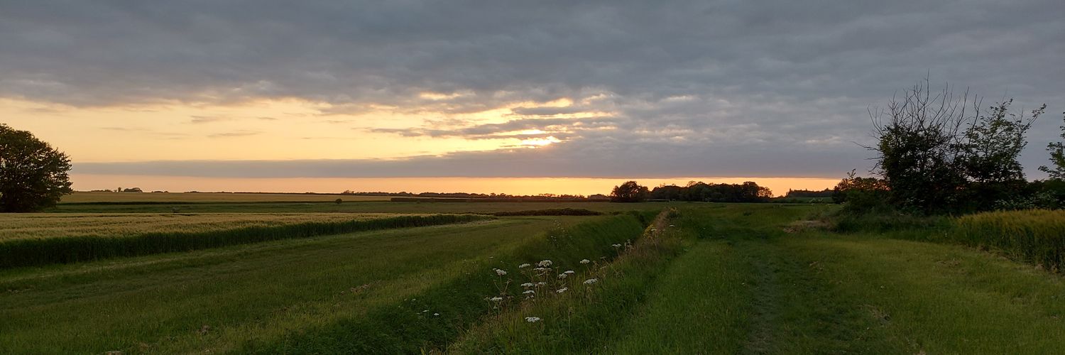 mrsbadgerhead's profile banner image