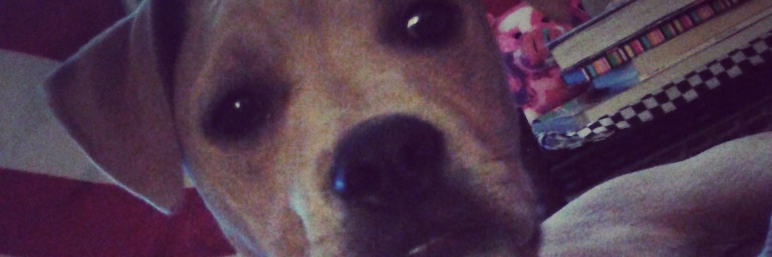 LoganDoyle2's profile banner image
