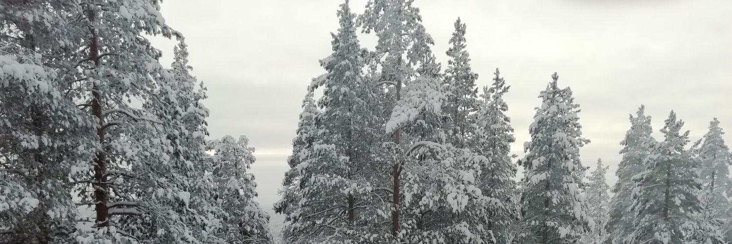 TKThurston's profile banner image