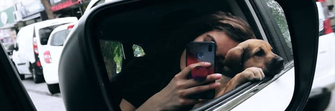 tugcecellik's profile banner image