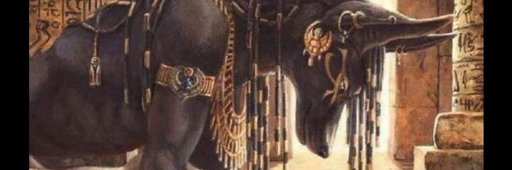 brenquesedukes's profile banner image