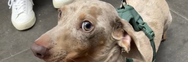 Edmauricio_ Profile Banner