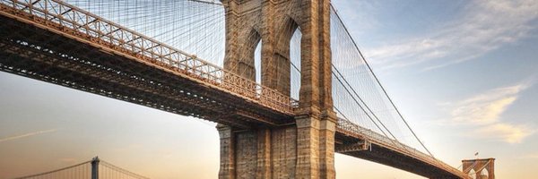 bklynbridgevc Profile Banner