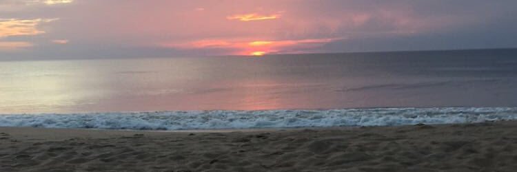 CarolineTruban's profile banner image