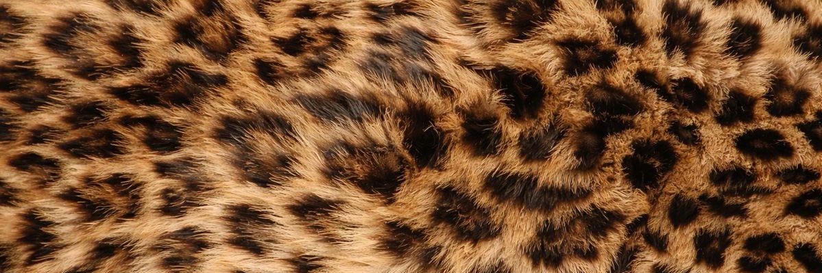 outrok8te's profile banner image