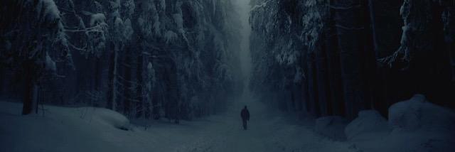 codysanford19's profile banner image