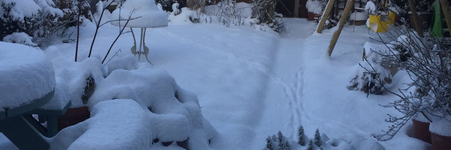 Thames Weather ❄️ banner