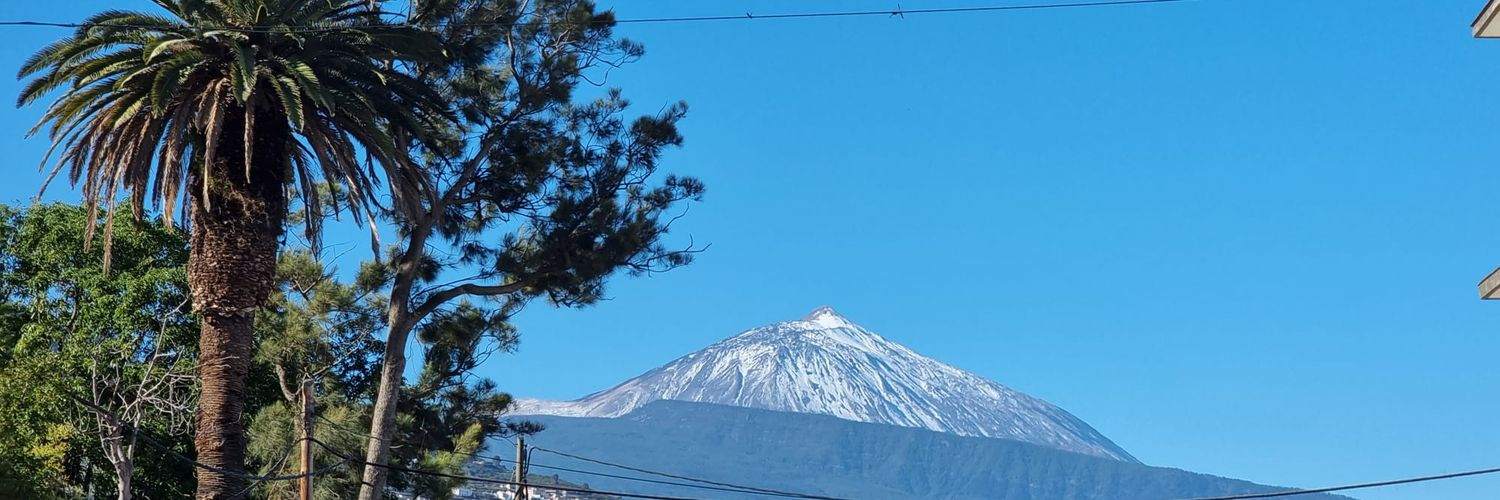 tutuandrbe's profile banner image